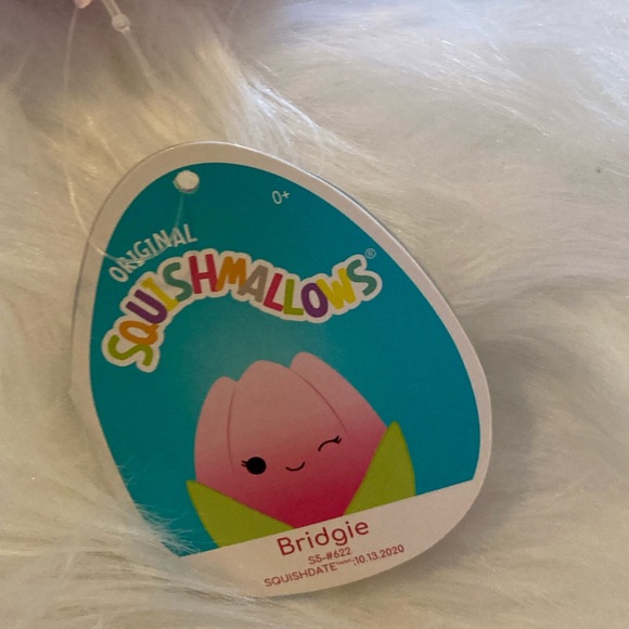 COPY - Bridgie Squishmallows - Picture 3 of 3